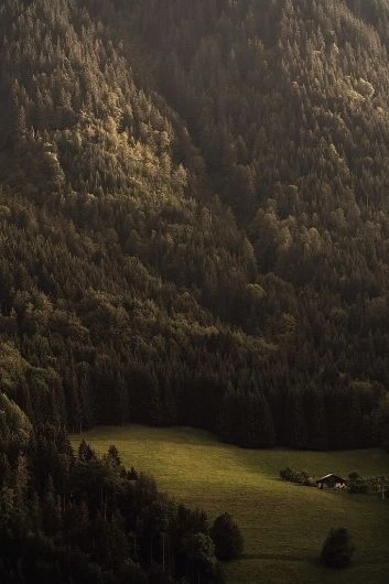 I would love to be here 