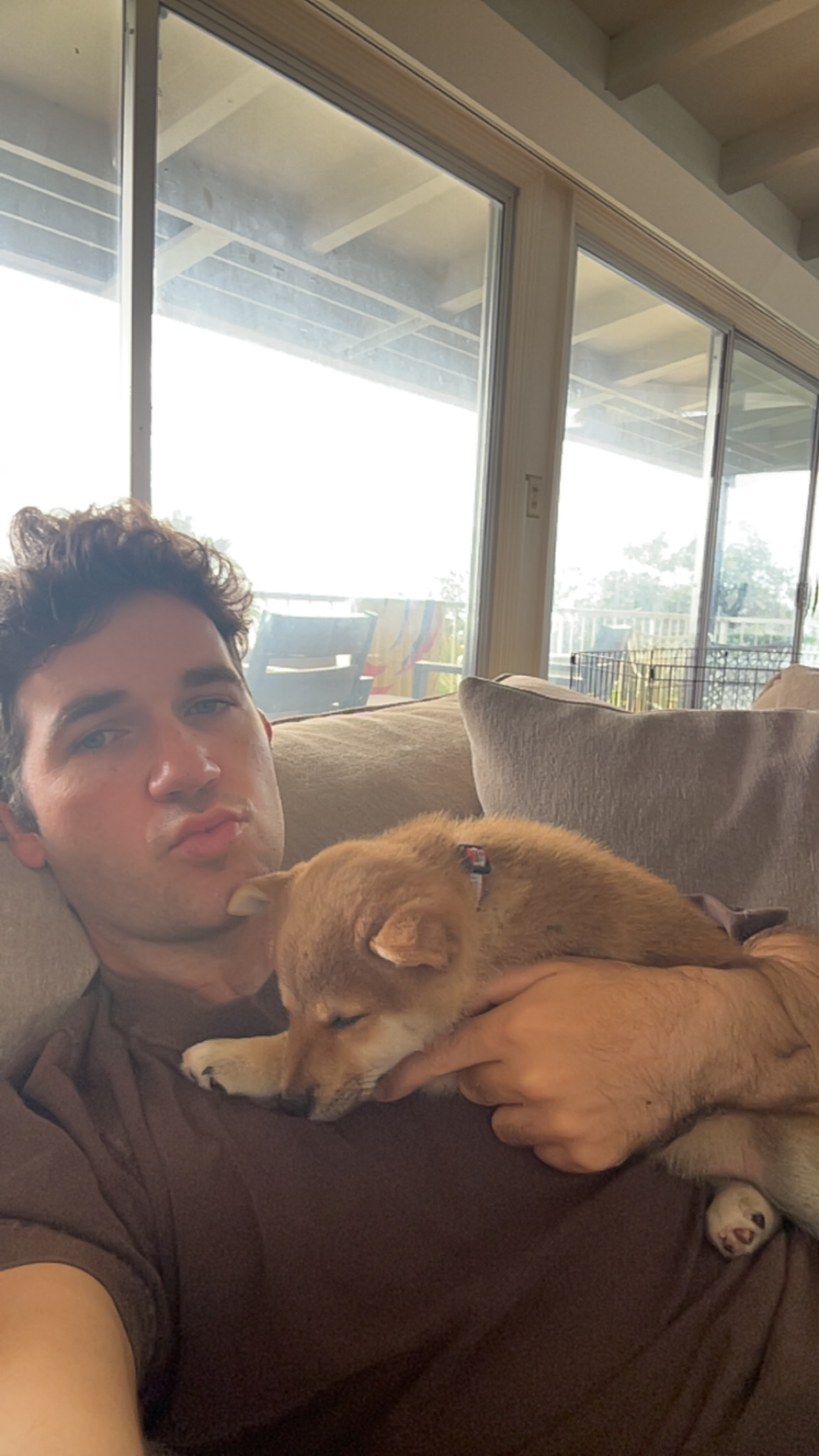 New puppy
