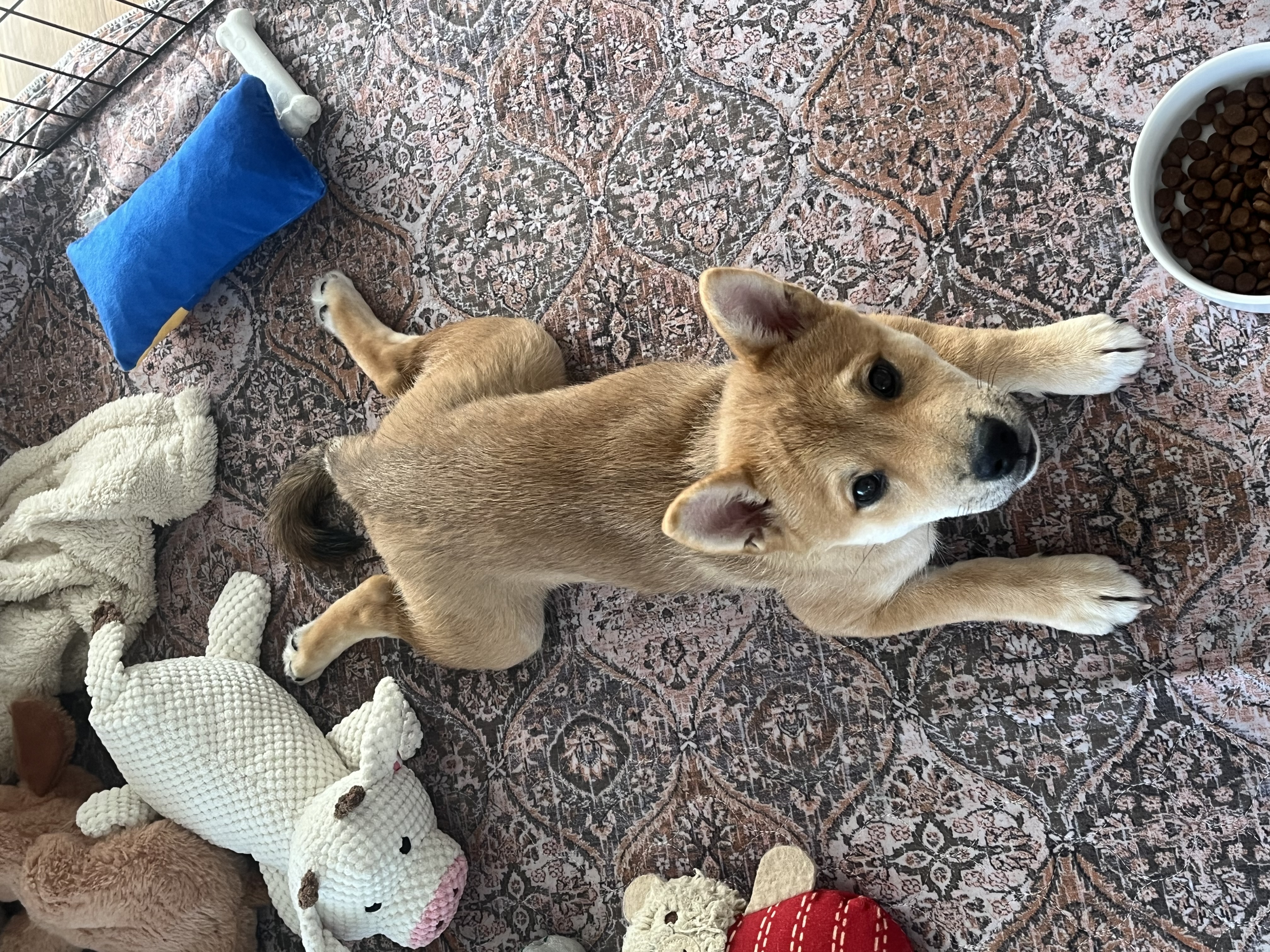 baby zero