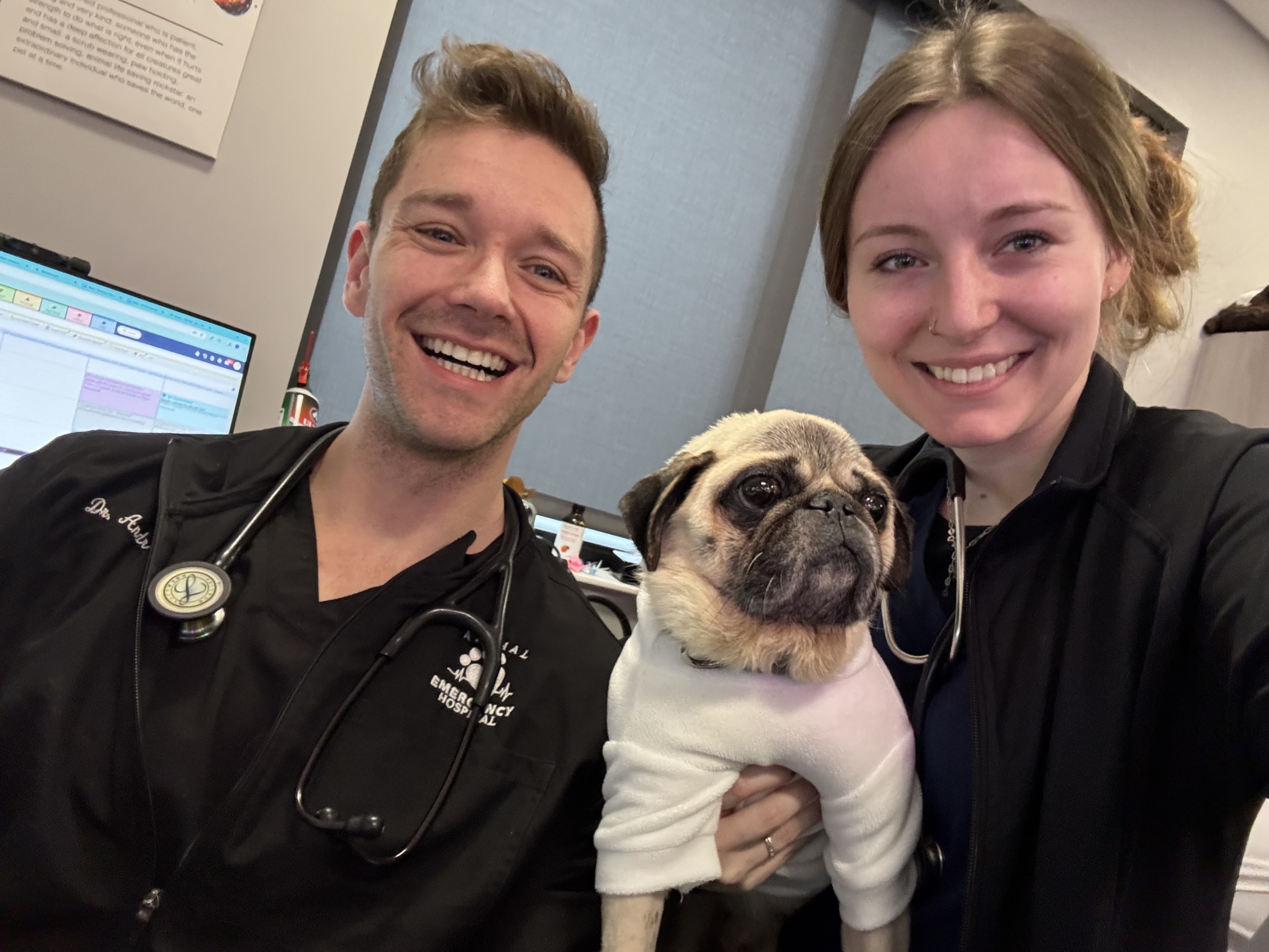 Post by Dogtor Andy