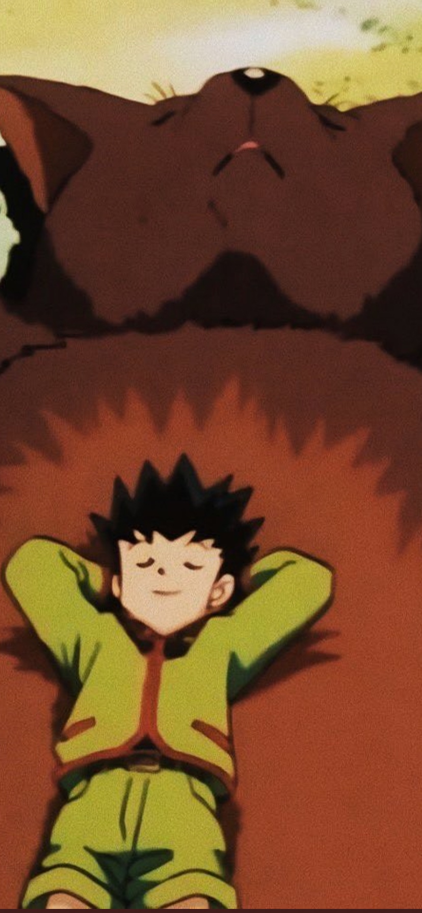 Looking for friends to talk to ♡ Huge HxH fan! Gon is my absolute favorite 🥹💚 If you love Hunter x Hunter too, let’s talk!